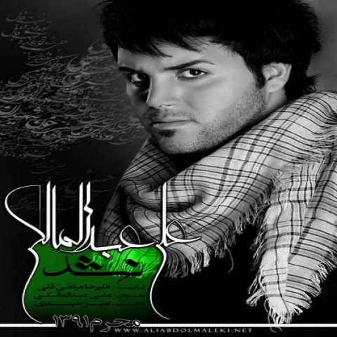 دانلود آهنگ جدید علی عبدالمالکی نشد