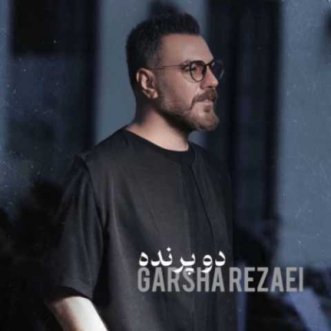 دانلود آهنگ جدید گرشا رضایی دو پرنده