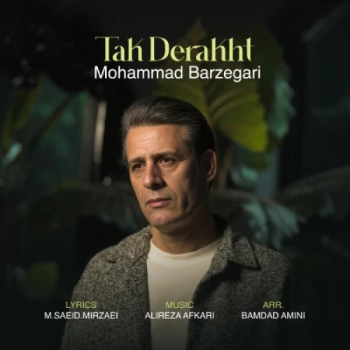 دانلود آهنگ جدید محمد برزگری تک درخت