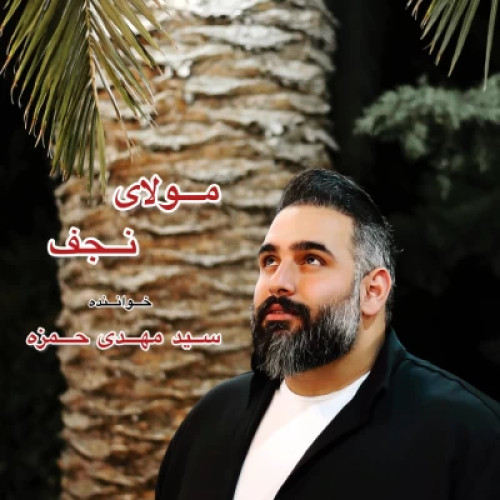 دانلود آهنگ جدید سید مهدی حمزه مولای نجفی
