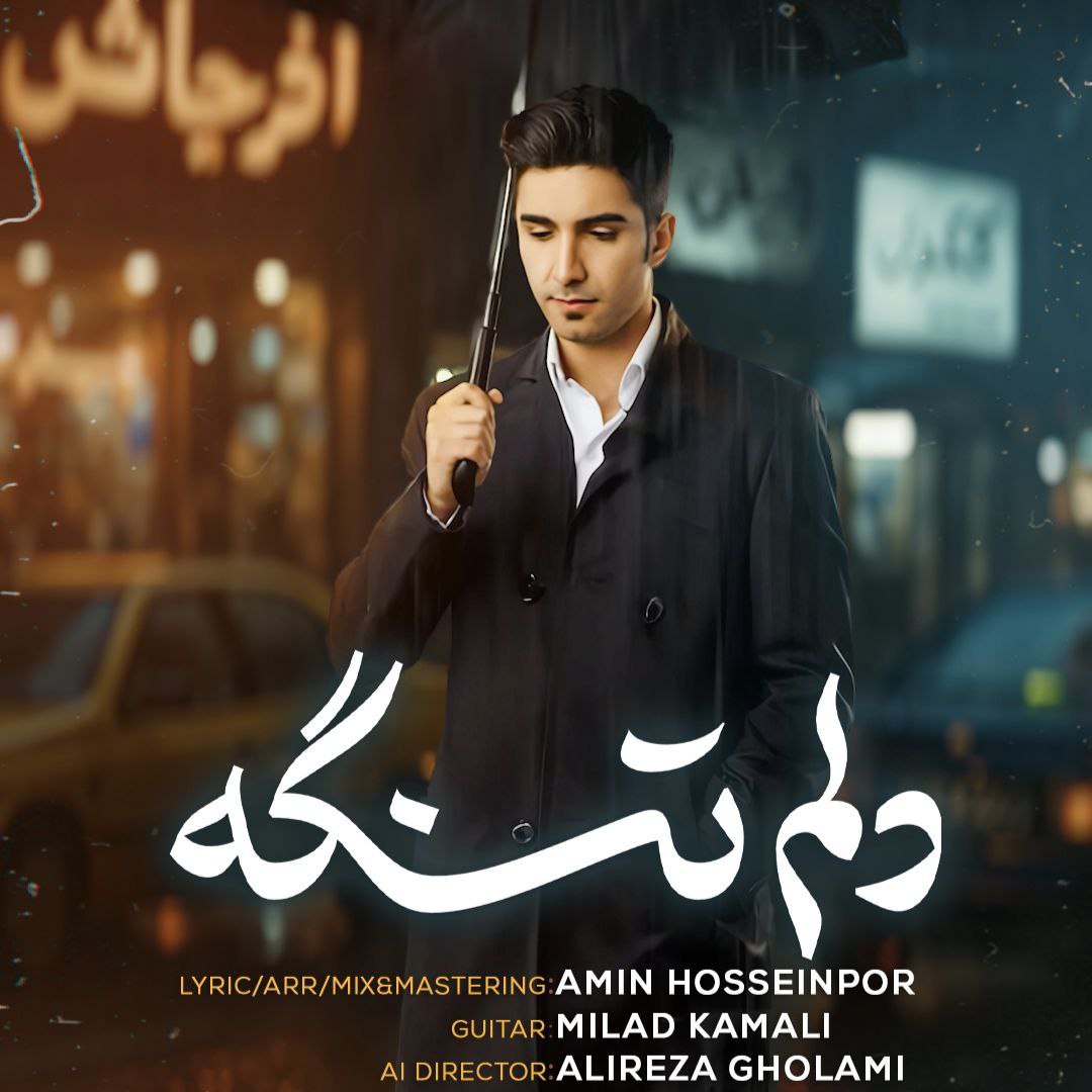 دانلود آهنگ جدید امین حسین پور دلم تنگه