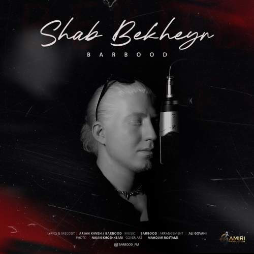 دانلود آهنگ جدید باربد شب بخیر